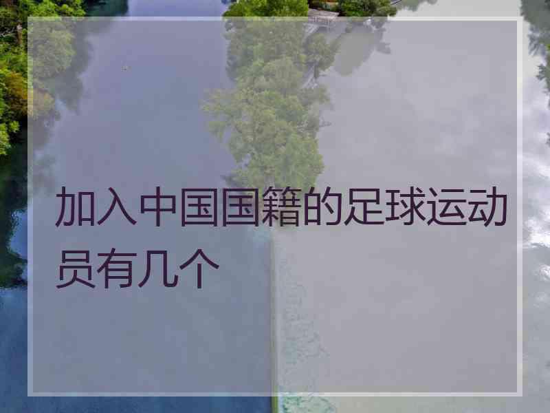 加入中国国籍的足球运动员有几个