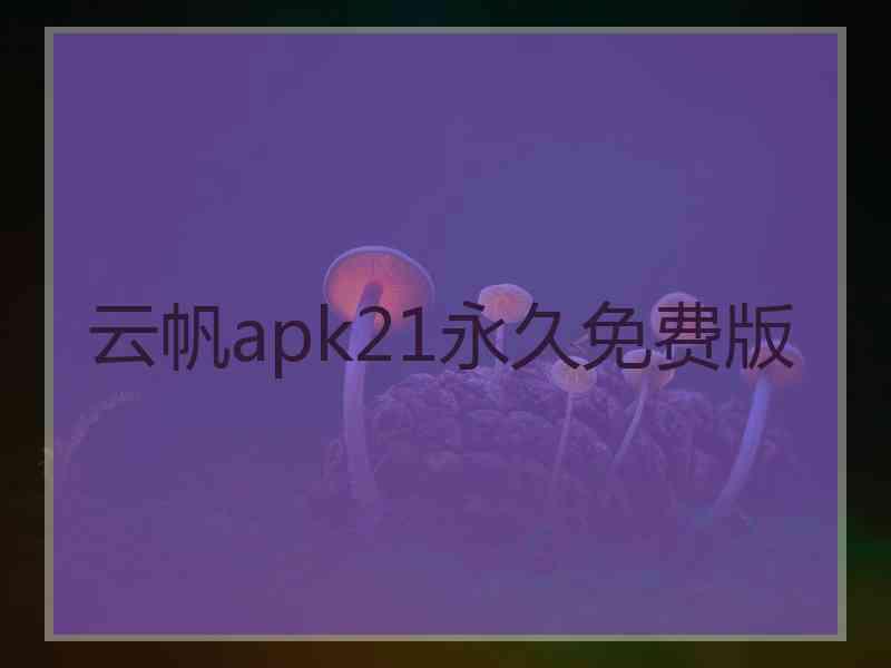 云帆apk21永久免费版