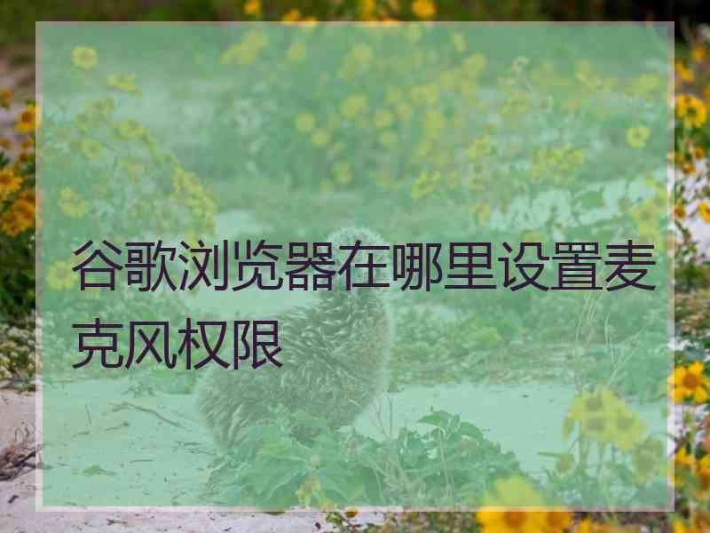 谷歌浏览器在哪里设置麦克风权限