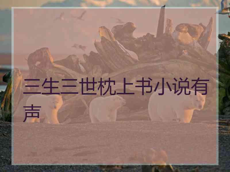 三生三世枕上书小说有声