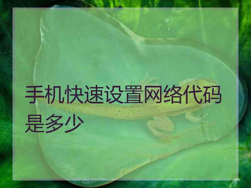 手机快速设置网络代码是多少
