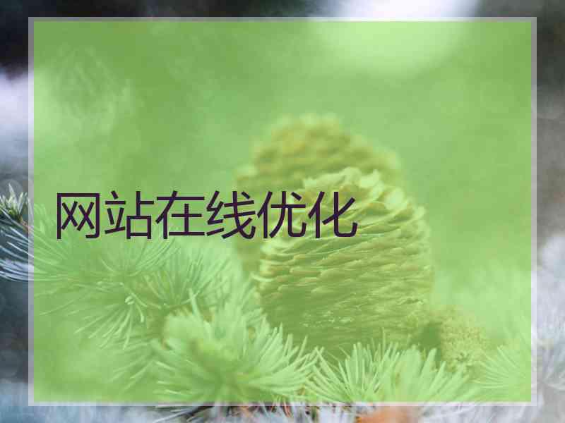 网站在线优化
