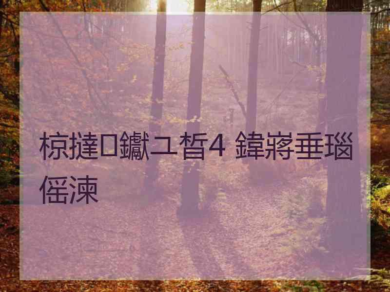 椋撻钀ユ晳4 鍏嶈垂瑙傜湅