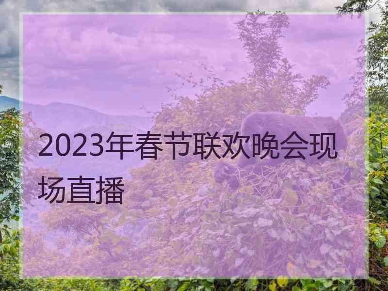2023年春节联欢晚会现场直播