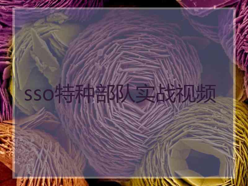 sso特种部队实战视频