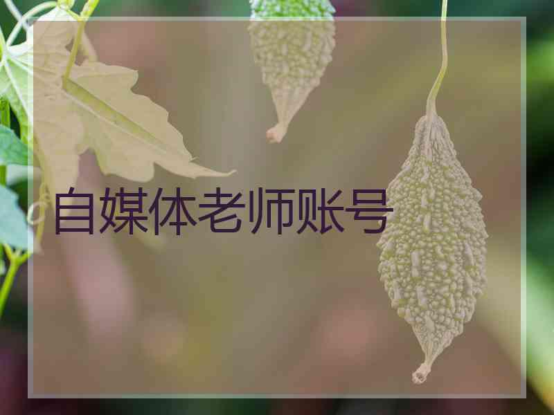 自媒体老师账号