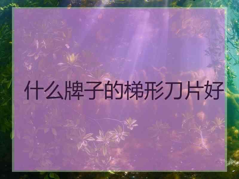 什么牌子的梯形刀片好