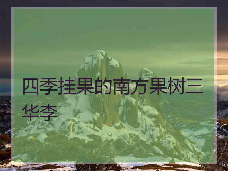四季挂果的南方果树三华李