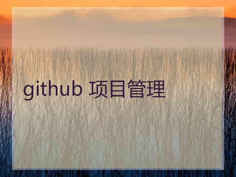 github 项目管理