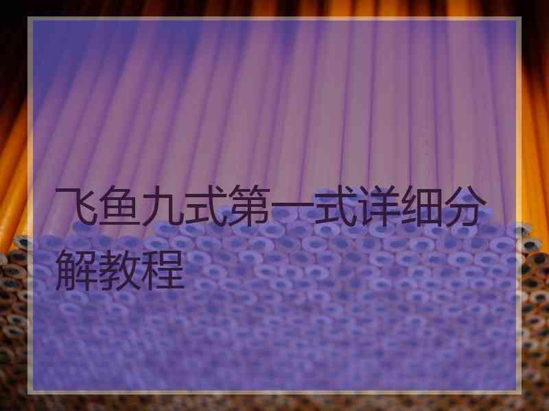 飞鱼九式第一式详细分解教程