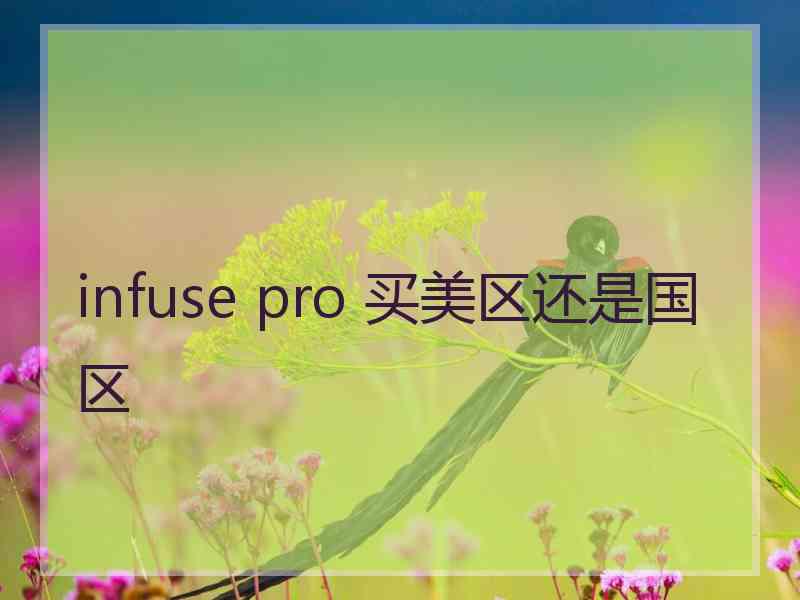 infuse pro 买美区还是国区