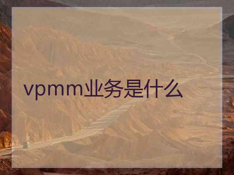 vpmm业务是什么