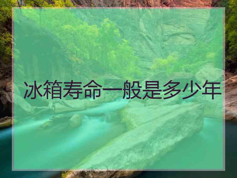 冰箱寿命一般是多少年