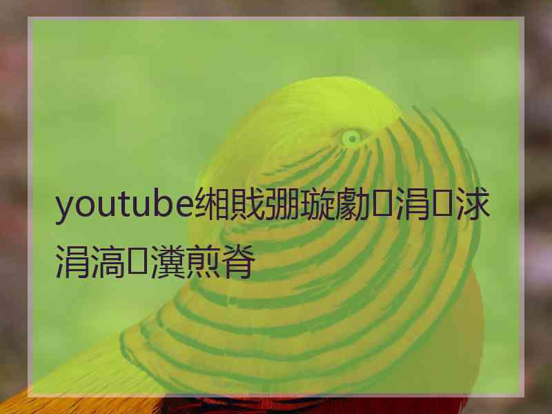 youtube缃戝弸璇勮涓浗涓滈瀵煎脊