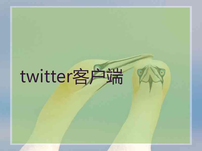 twitter客户端