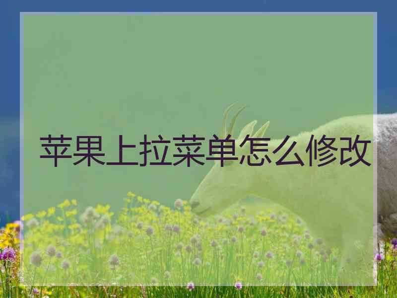苹果上拉菜单怎么修改