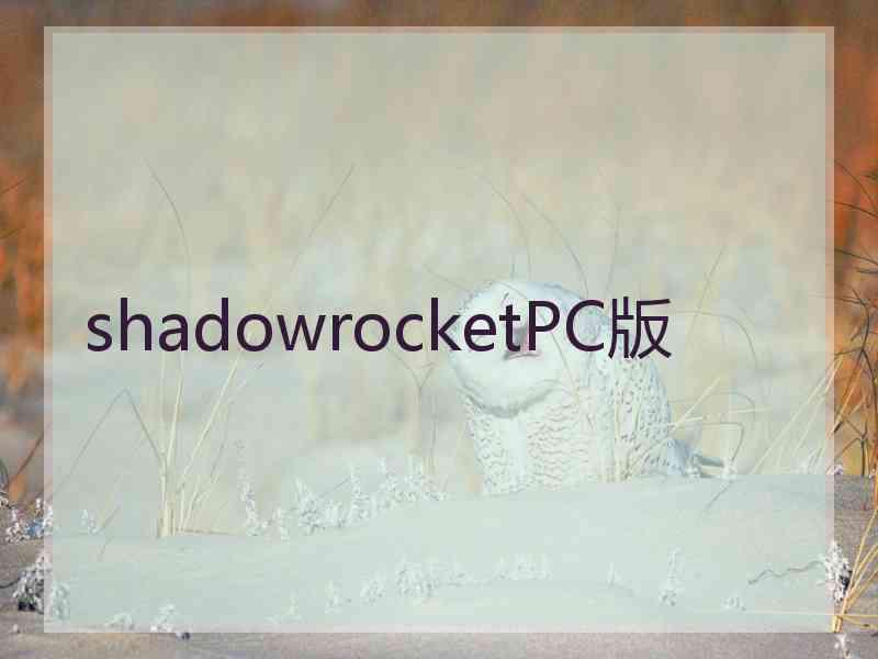 shadowrocketPC版