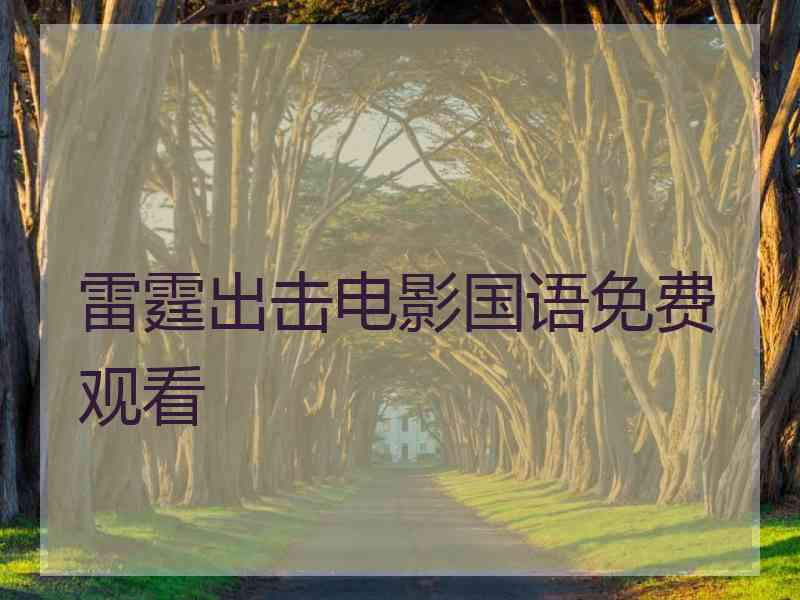 雷霆出击电影国语免费观看