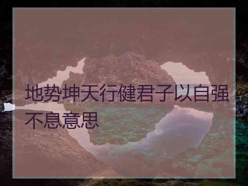 地势坤天行健君子以自强不息意思
