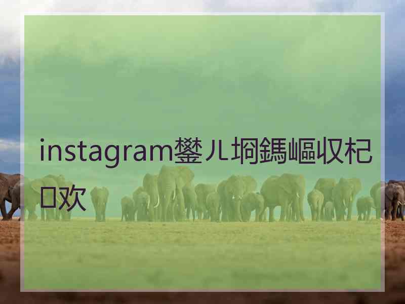 instagram鐢ㄦ埛鎷嶇収杞欢