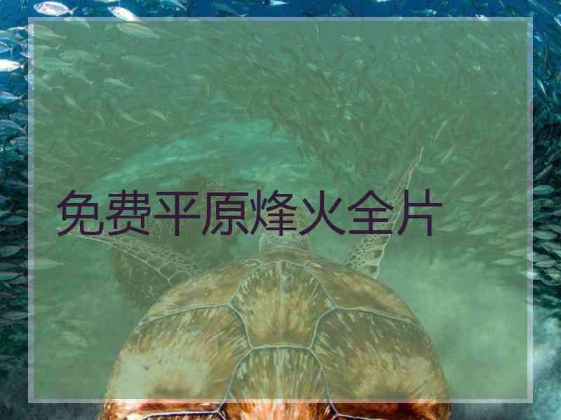 免费平原烽火全片