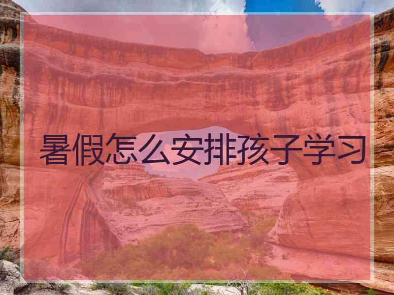 暑假怎么安排孩子学习