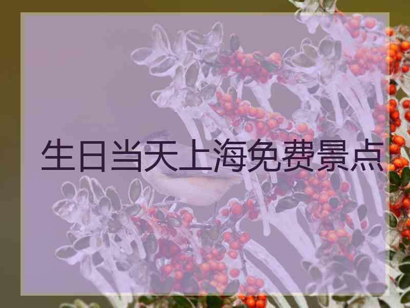 生日当天上海免费景点
