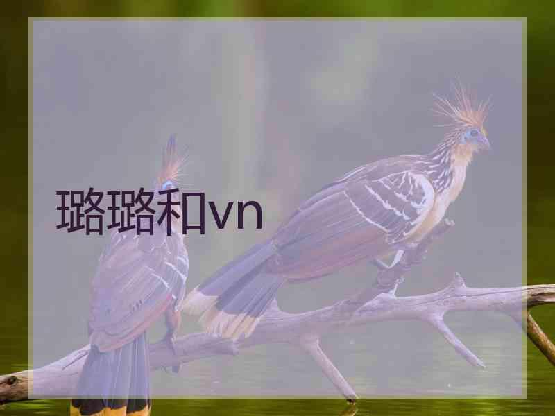 璐璐和vn