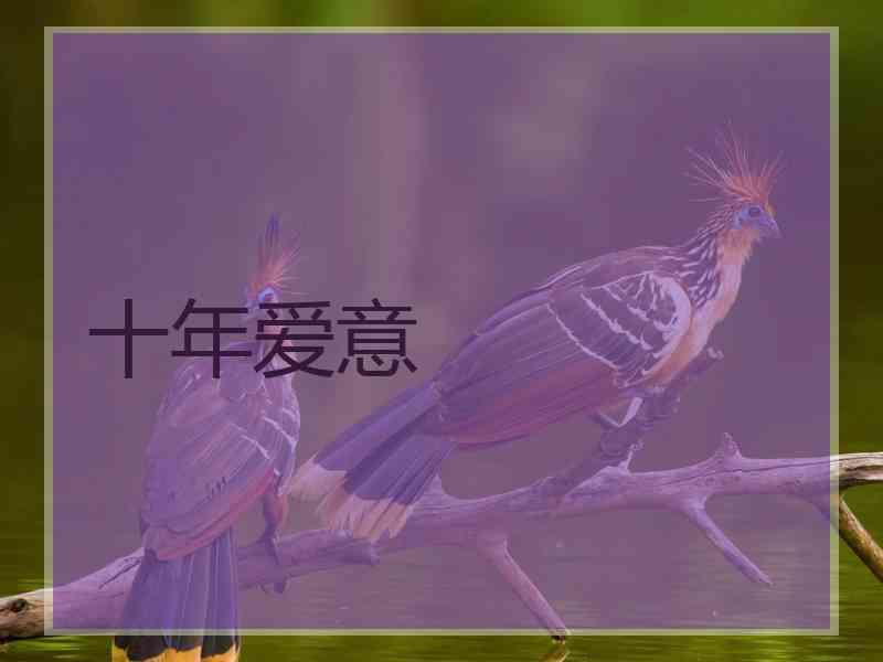 十年爱意