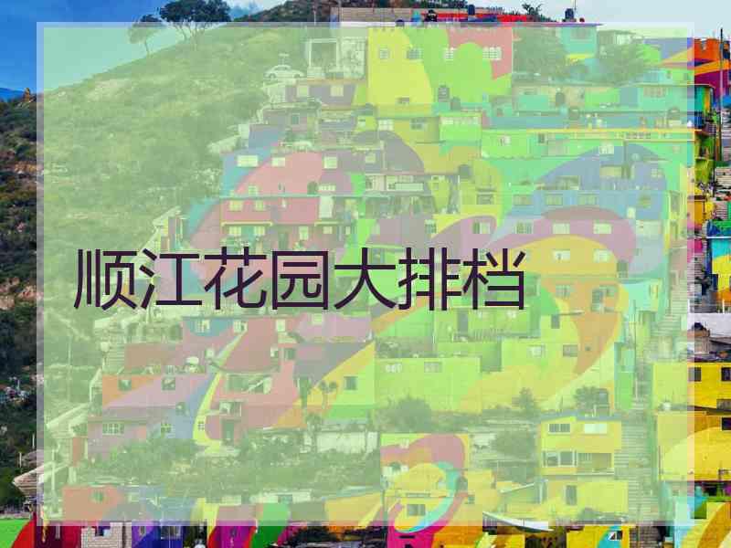 顺江花园大排档
