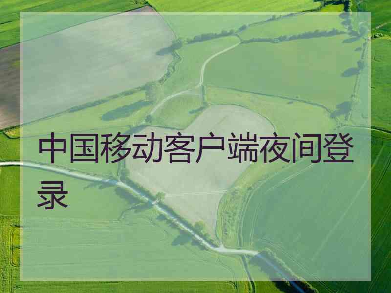 中国移动客户端夜间登录