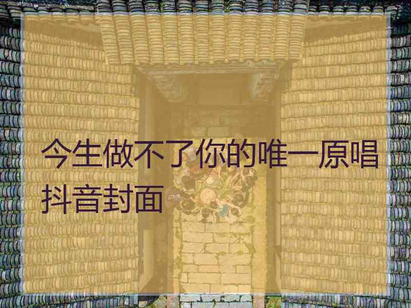 今生做不了你的唯一原唱抖音封面