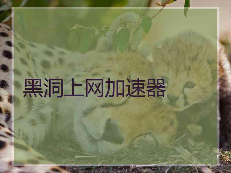 黑洞上网加速器