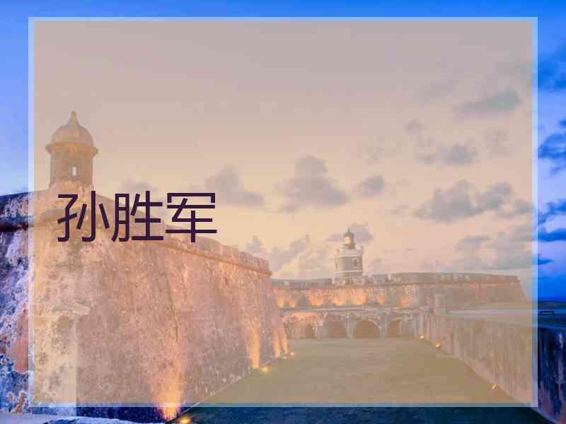 孙胜军