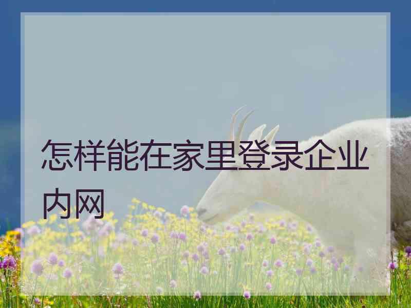 怎样能在家里登录企业内网