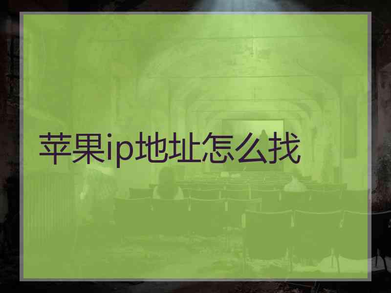 苹果ip地址怎么找