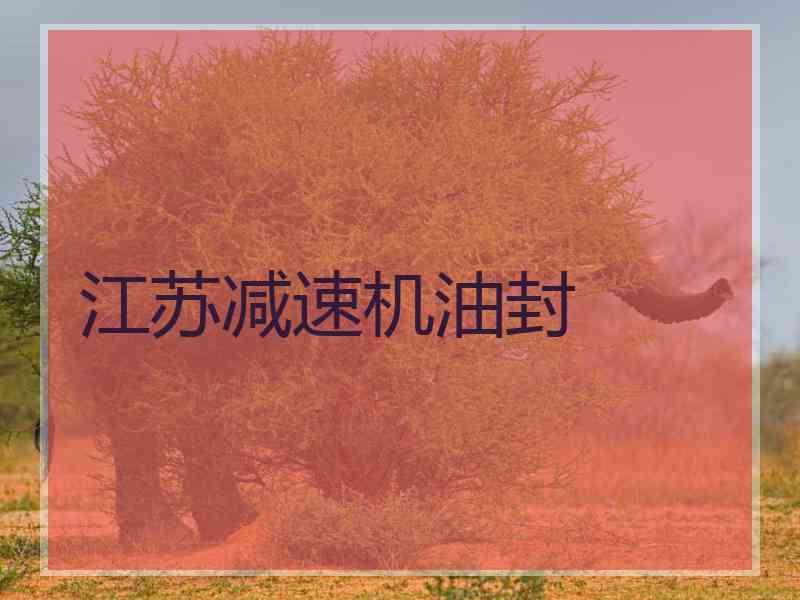 江苏减速机油封