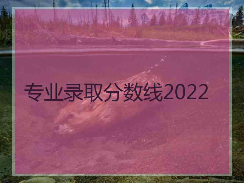 专业录取分数线2022
