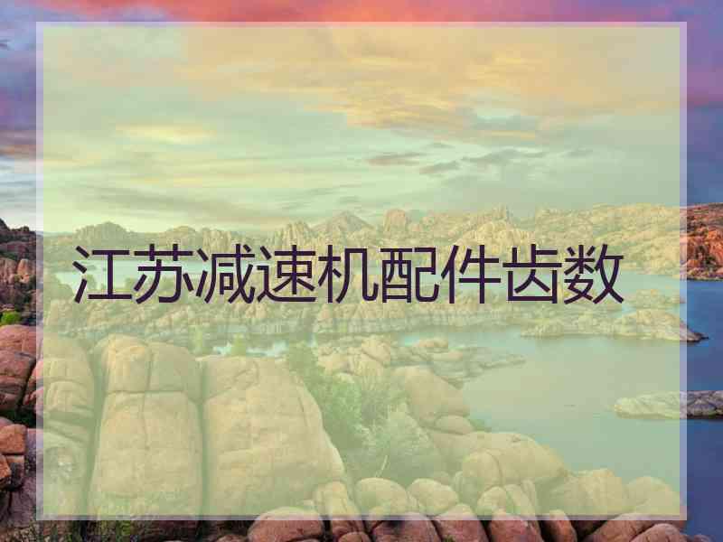江苏减速机配件齿数