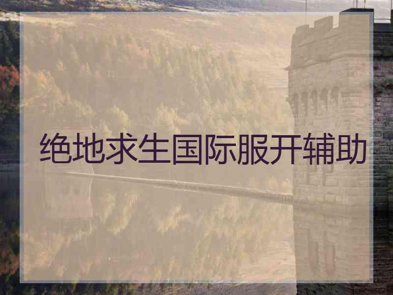 绝地求生国际服开辅助