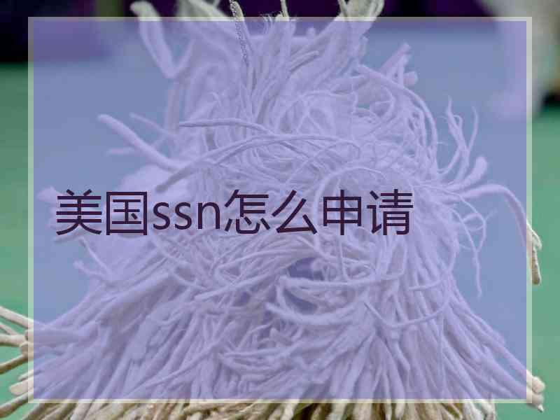 美国ssn怎么申请
