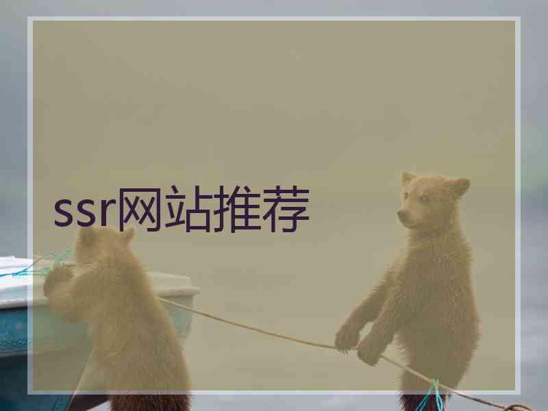 ssr网站推荐
