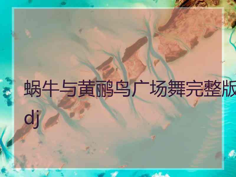 蜗牛与黄鹂鸟广场舞完整版dj