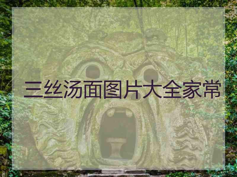 三丝汤面图片大全家常