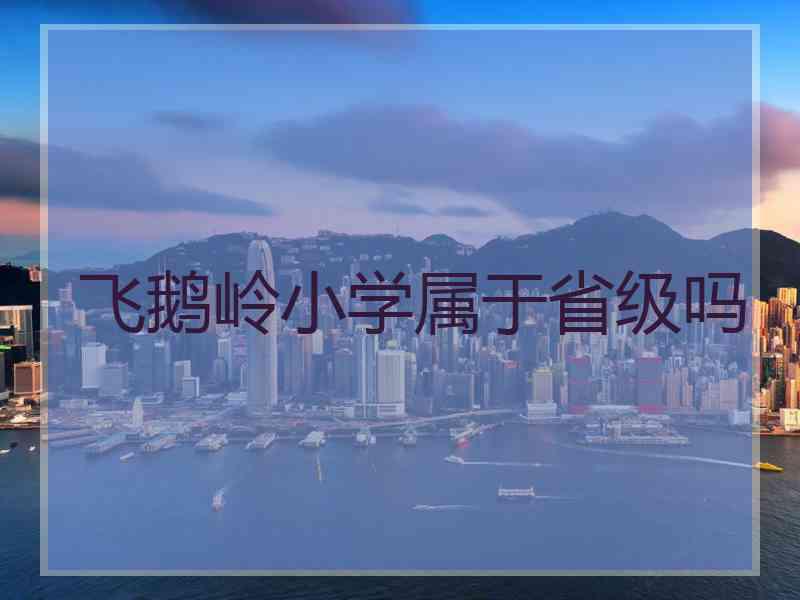 飞鹅岭小学属于省级吗