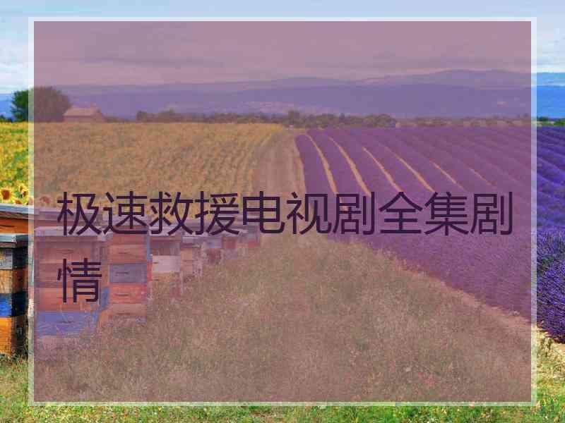 极速救援电视剧全集剧情