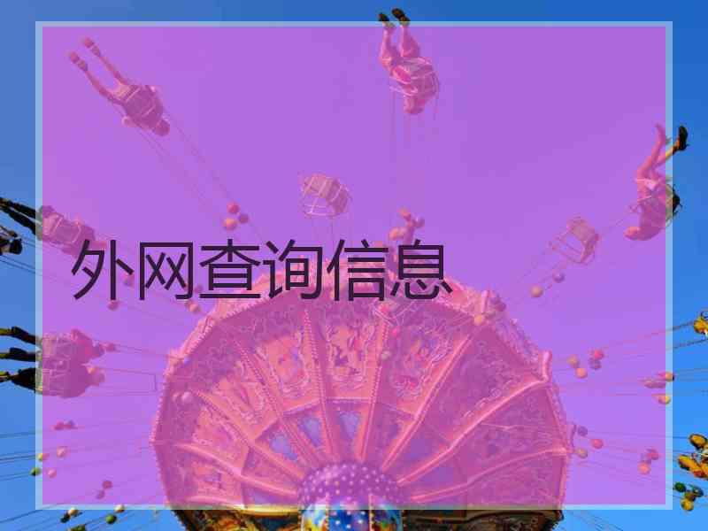外网查询信息