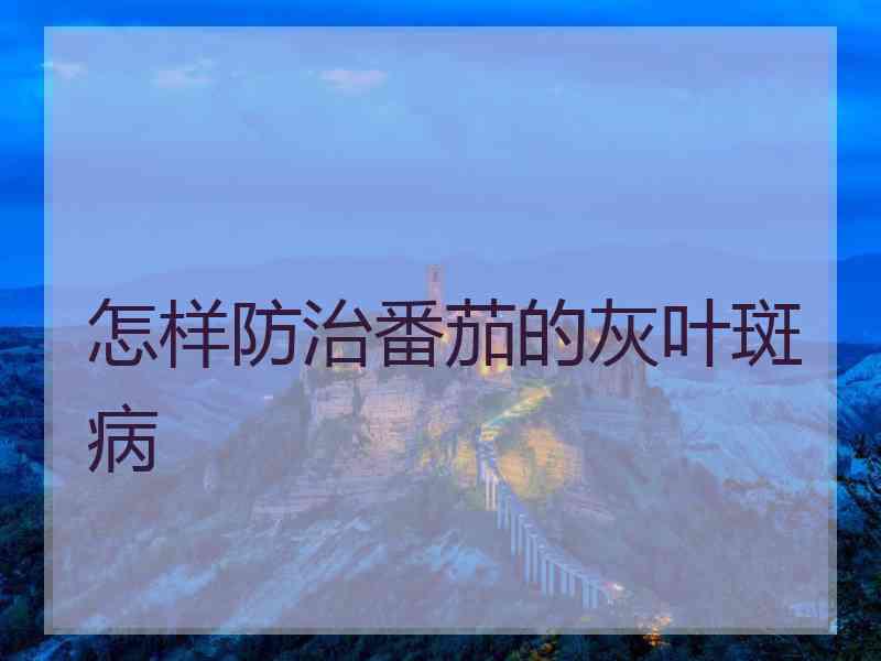怎样防治番茄的灰叶斑病
