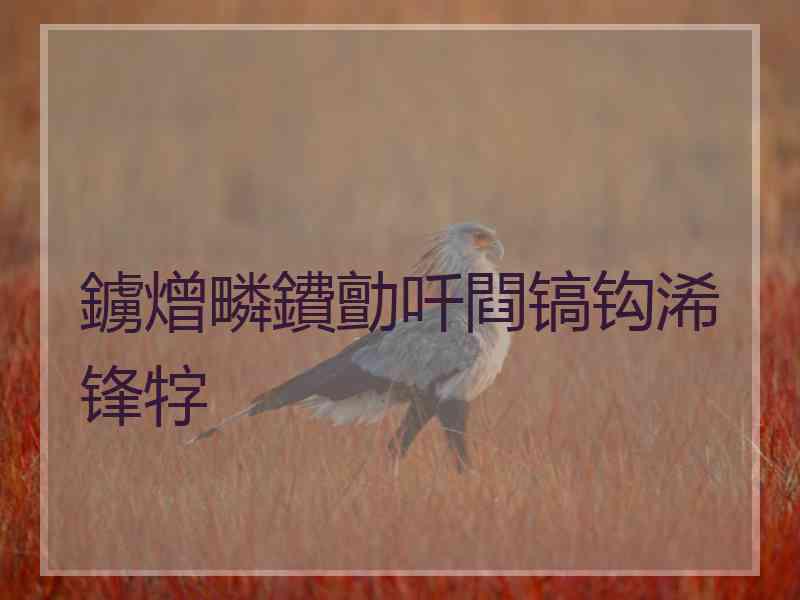 鐪熷疄鐨勯吀閰镐钩浠锋牸