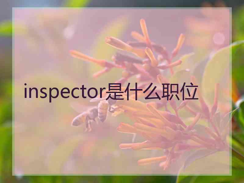 inspector是什么职位